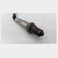 SONDA LAMBDA APRILIA SHIVER 900 '18 2