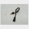 SENSOR DE TEMPERATURA (1) ( 0280130079 ) SEGUN FOTOGRAFIAS BMW R 1150 RT (R22) '02 5