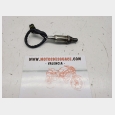 SONDA LAMBDA (2*) BMW F 650 CS SCARVER