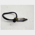 SONDA LAMBDA (2*) BMW F 650 CS SCARVER 2