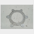 ANILLO SENSOR / ARO ABS (4#) BMW F 650 CS SCARVER 1