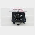 ELECTROVENTILADOR (1) BMW F 800 S '06