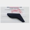 TAPA LATERAL DERECHA BMW R 1200 GS '06