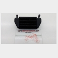 REF. 134176143070 RADIADOR DEL ACEITE (IZQUIERDO) (2) BMW R 850 R '94/'01 0