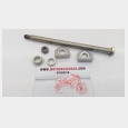 EJE DE LA RUEDA TRASERA (2) BMW F 650 GS ABS '10 (K72)