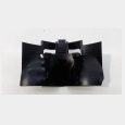 REF. 17117713359 DEFLECTOR DE AIRE DE ELECTROVENTILADOR BMW F 650 GS ABS '10 (K72) 4