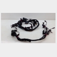 INSTALACION ELECTRICA BMW F 800 ST (K71) 1
