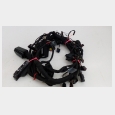 INSTALACION ELECTRICA (2) BMW F 800 ST (K71) 2