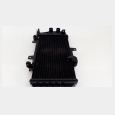 RADIADOR (2) BMW F 800 ST (K71) 2