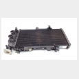 RADIADOR (2) BMW F 800 ST (K71) 3