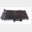 RADIADOR (2) BMW F 800 ST (K71) 5