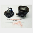 GRUPO TERMICO (4#) TOP PERFORMANCE 50CC. SEGUN FOTOGRAFIAS DERBI GPR 50 2T 2 EDIC. (E2)