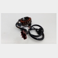 ALTERNADOR GILERA NEXUS 125 I.E. (E3) '08/'09 6