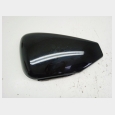 TAPA LATERAL IZQUIERDA (1) SEGUN FOTOGRAFIAS HARLEY DAVIDSON XL 1200 N NIGHTSTER'07 5