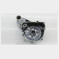 TAPA DEL ALTERNADOR (2) HONDA CBF 250 '04/'06 4