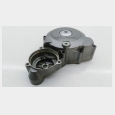 TAPA DEL ALTERNADOR (4) HONDA CBF 250 '04/'06 2