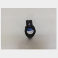 PIPA / BOBINA (5) HONDA CBR 600 RR '03/'04 (PC37) 6
