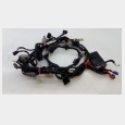 INSTALACION ELECTRICA HONDA FORZA 125 ABS '19 (NSS125) 2