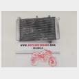 RADIADOR (1) HONDA SILVER WING 400 '08 (FJS400)