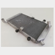 RADIADOR (1) HONDA SILVER WING 400 '08 (FJS400) 6