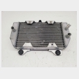 RADIADOR (1) ( 19010-KSV-J01 ) HONDA FORZA 250 ( X / EX) '05/'07 (NSS250) 1