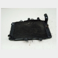 RADIADOR (1) SEGUN FOTOGRAFIAS HONDA REVERE 650 (NTV650) (RC33) '88/'97 1