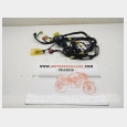 INSTALACION ELECTRICA (TIPO 1) (1) SEGUN FOTOGRAFIAS HONDA REVERE 650 (NTV650) (RC33) '91/'97