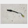 SENSOR DEL FRENO TRASERO (M6) SEGUN FOTOGRAFIAS KAWASAKI KLE 500 6