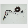 ALTERNADOR (4#) ( DE 8 BOBINAS ) SEGUN FOTOGRAFIAS KYMCO AGILITY CITY 125 '11/'16 (CARBURACION) 1