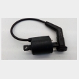 BOBINA CON PIPA (CABLE CORTO) (1) KYMCO VENOX 250 5