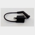 BOBINA CON PIPA (CABLE CORTO) (2) KYMCO VENOX 250 5
