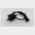 BOBINA CON PIPA (CABLE LARGO) (1) KYMCO VENOX 250 6
