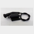 BOBINA CON PIPA (CABLE LARGO) (2) KYMCO VENOX 250 5