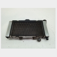 RADIADOR (1#) SEGUN FOTOGRAFIAS KYMCO VENOX 250 CARBURACION 1
