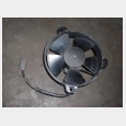 VENTILADOR MALAGUTI MADISON 250.