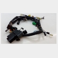 INSTALACION ELECTRICA (1) SUZUKI VL 250 INTRUDER '00/'04 1