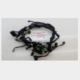 INSTALACION ELECTRICA (2) YAMAHA MAJESTY 400 '04/'06 (YP400)