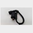 BOBINA CON PIPA Y CABLE YAMAHA X-MAX 250 '14/'16 (YP250R) 2
