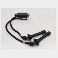 BOBINA CON PIPAS (2) ( CILINDROS 1 Y 4 ) SEGUN FOTOGRAFIAS YAMAHA FZ6 N '04/'06 ( 1B39 ) 1
