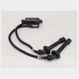 BOBINA CON PIPAS (2) ( CILINDROS 1 Y 4 ) SEGUN FOTOGRAFIAS YAMAHA FZ6 N '04/'06 ( 1B39 ) 6