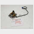 ALTERNADOR (TIPO 1) (1) SEGUN FOTOGRAFIAS YAMAHA SR 250 CLASSIC / SPECIAL