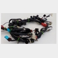 INSTALACION ELECTRICA TRIUMPH TIGER 900 I.E. '99/'00 (885I) 6