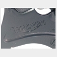 PINZA DEL FRENO TRASERA (2) TRIUMPH STREET TRIPLE R 675 '15 5