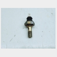 SENSOR DE PRESION ACEITE (1) SEGUN FOTOGRAFIAS TRIUMPH TIGER 955 I.E. '05/'06 ( VIN : 198875 - 287503 ) 1