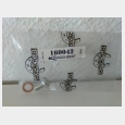 REF.160042 SLIDER DRAIN SCREW KIT FITS FL L77-84 FLT,FXWG/SOFTTAILS 1980-UP ( 5 UNIDADES )