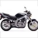 SUZUKI GS 500 E '01 (GS500K1) (E2)